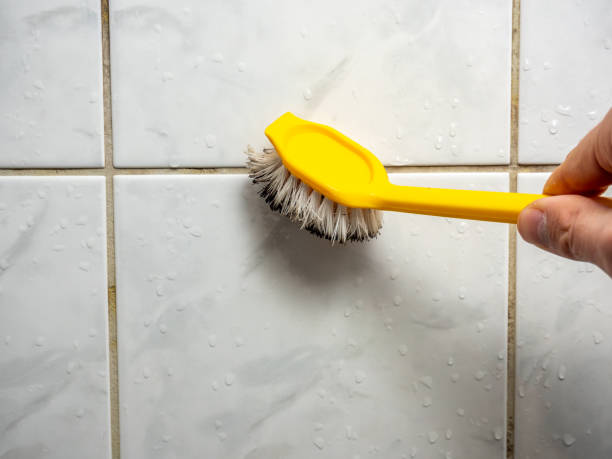 Best Commercial Mold Removal  in Wartburg, TN