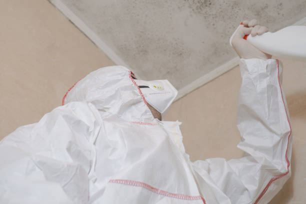 Crawl Space Mold Removal in Wartburg, TN