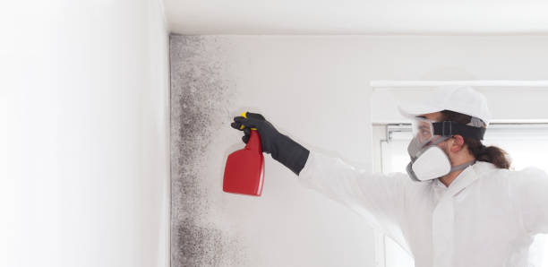 Best Mold Damage Repair  in Wartburg, TN